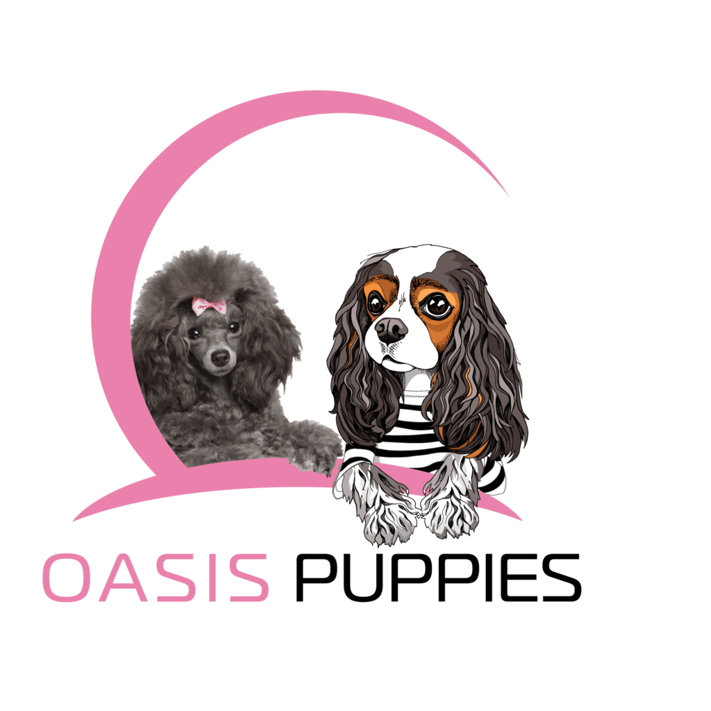 how-to-check-a-dog-for-ticks-oasis-puppies