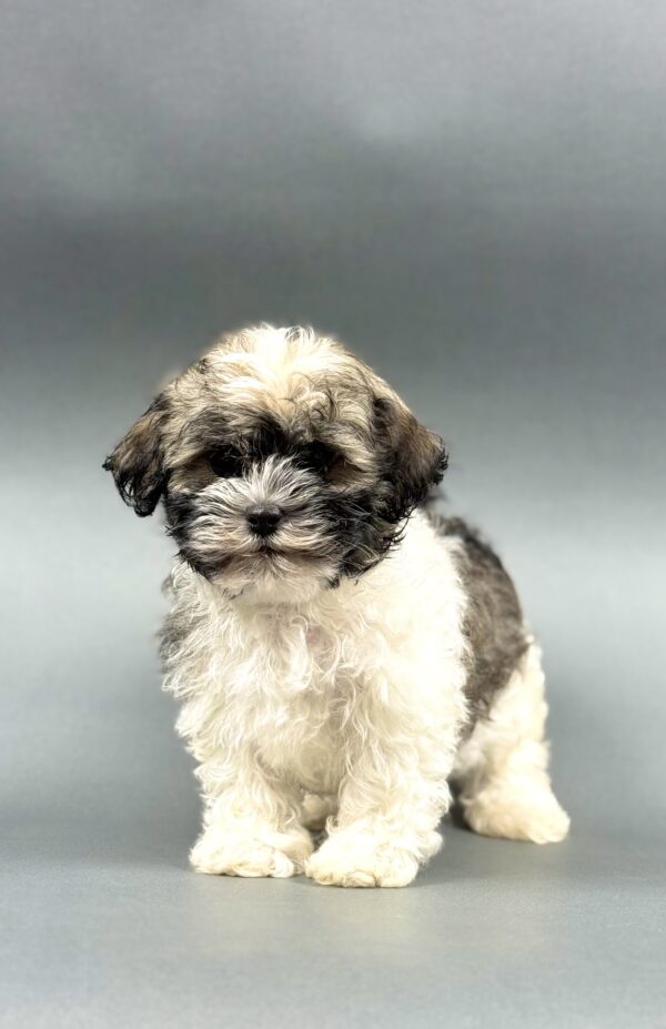 QUINCY