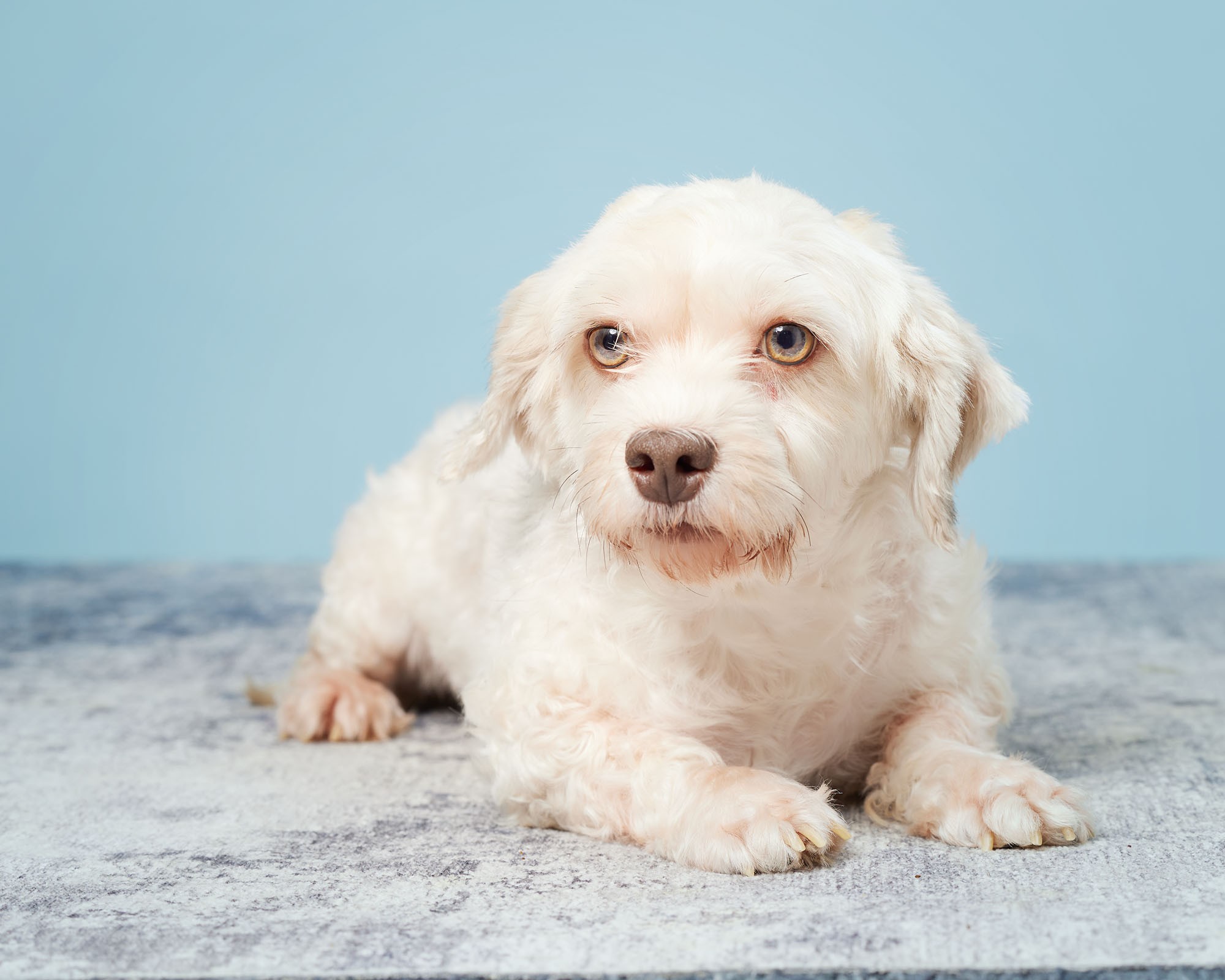 1048 – 465 1048 - 465